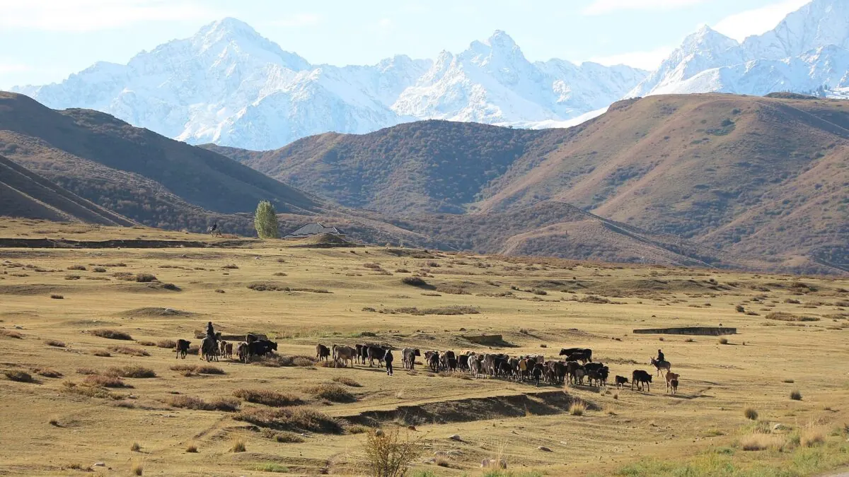 2-Week Kyrgyzstan Itinerary: The Loop That Actually Works