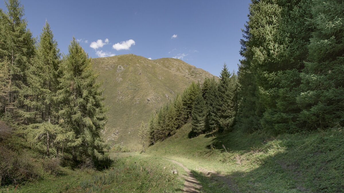 getting around kyrgyzstan
