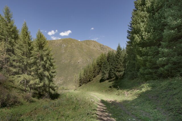 Getting Around Kyrgyzstan: Marshrutkas, Shared Taxis & Car Hire