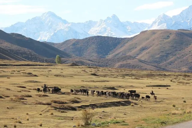 Kyrgyzstan for Indian Travelers: Costs & Tips