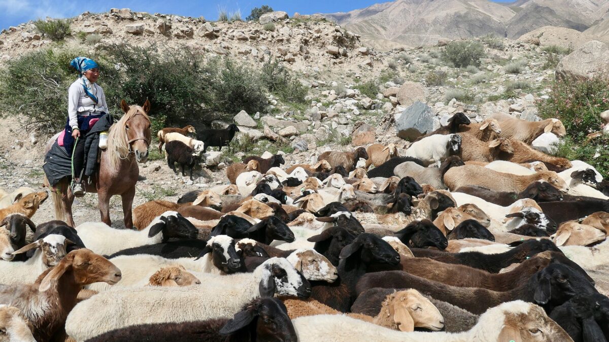 kyrgyzstan horse trekking guide