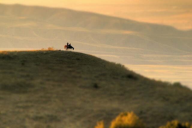 Wild Camping in Kyrgyzstan, Tent and All