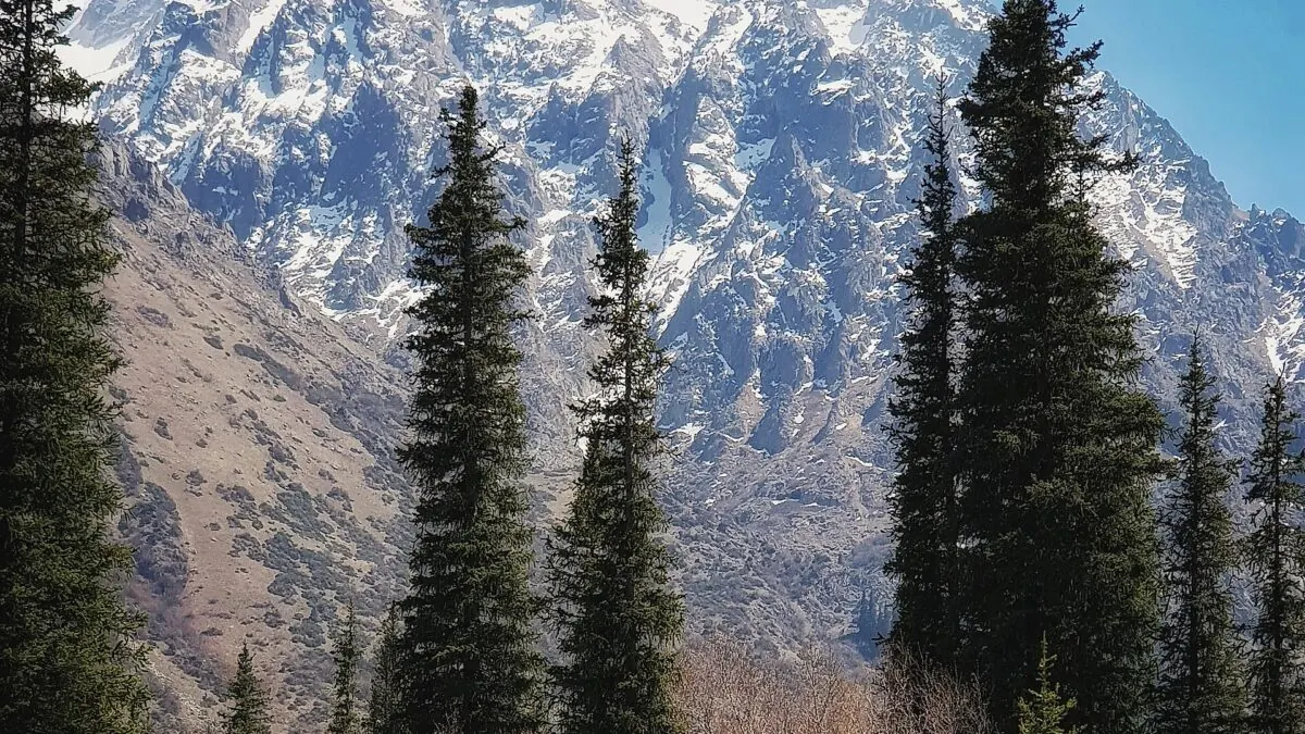 Spring in Kyrgyzstan: March, April and May, Honestly