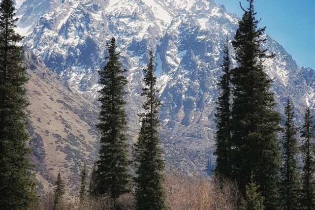 Spring in Kyrgyzstan: March, April and May, Honestly