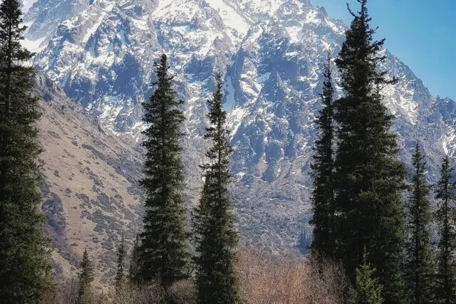 Spring in Kyrgyzstan: March, April and May, Honestly