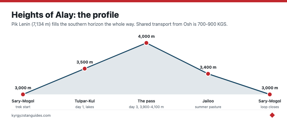 The Heights of Alay trek elevation profile