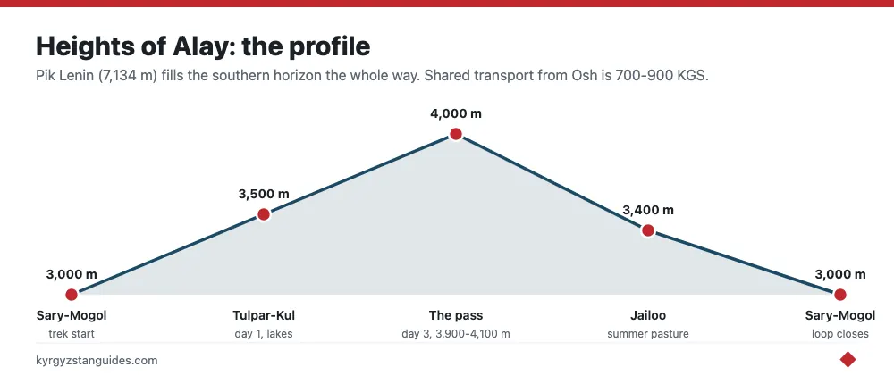 The Heights of Alay trek elevation profile