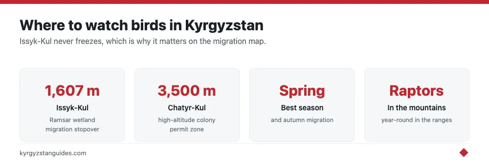 Kyrgyzstan's main birdwatching sites