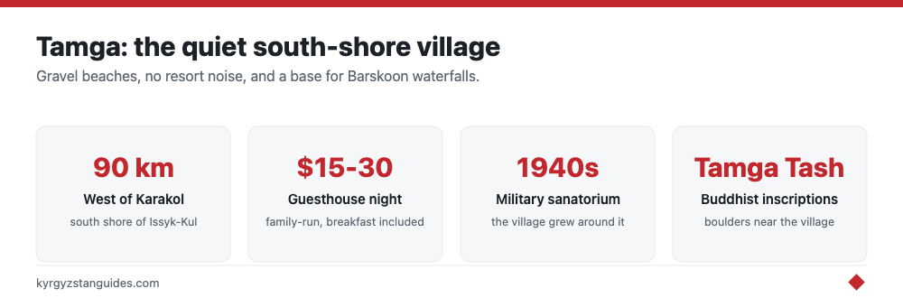 Tamga village at a glance