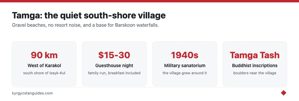 Tamga village at a glance