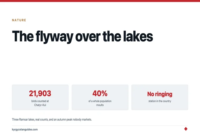 Bird Migration Over Kyrgyzstan: The Flyway, the Three Lakes, and When to Be There