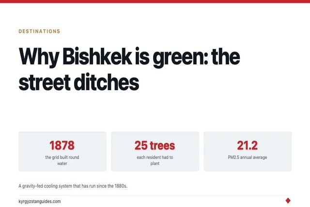 Why Bishkek Is Green: The Ditches Running Down Every Street