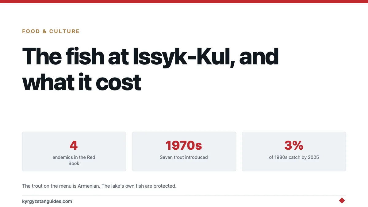 The Fish on Your Plate at Issyk-Kul, and What It Cost