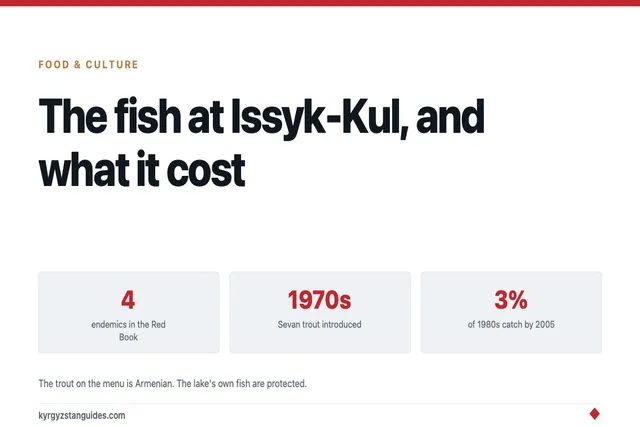 The Fish on Your Plate at Issyk-Kul, and What It Cost