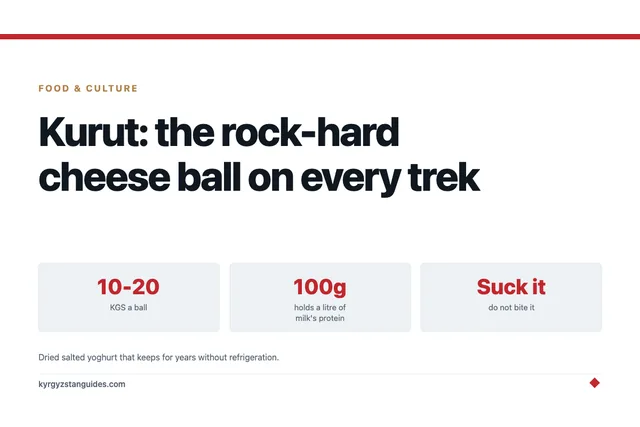 Kurut: The Rock-Hard Cheese Ball You'll Be Offered on Every Trek