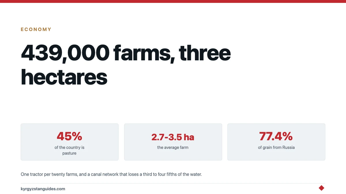 Who Farms Kyrgyz Land Now: 439,000 Farms, Three Hectares Each