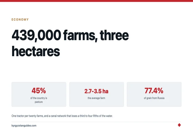 Who Farms Kyrgyz Land Now: 439,000 Farms, Three Hectares Each