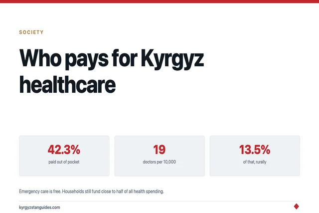 How Kyrgyz Healthcare Actually Works, and Who Pays For It