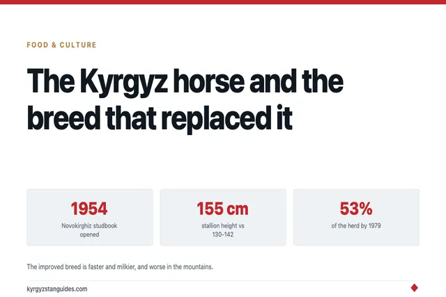 The Kyrgyz Horse, and the Breed That Replaced It