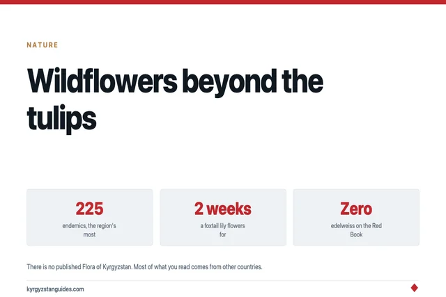 Kyrgyz Wildflowers Beyond the Tulips: What Flowers, When, and What Is Actually Protected