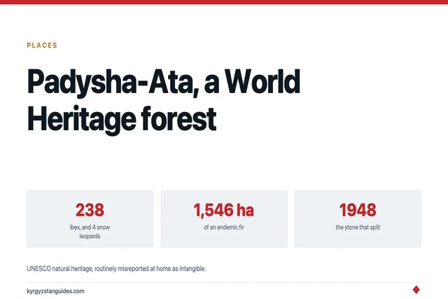 Padysha-Ata: A UNESCO World Heritage Forest, a Shrine, and a Court Case That Turned Violent