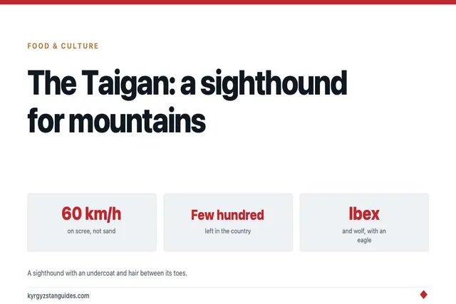 The Taigan: Kyrgyzstan's Mountain Sighthound, and How Close It Is to Gone
