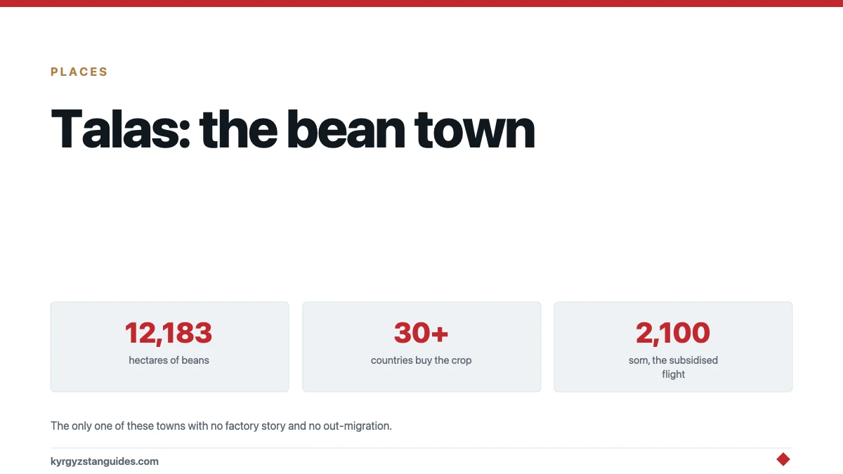Talas Town: Beans, a Subsidised Flight, and the One Provincial Town That Is Not Emptying
