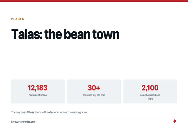 Talas Town: Beans, a Subsidised Flight, and the One Provincial Town That Is Not Emptying