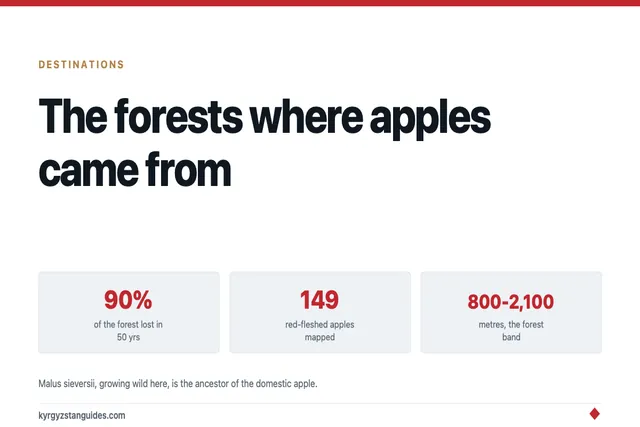 The Forests Where Apples Came From — and How Fast They're Disappearing